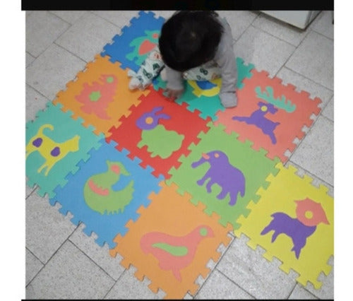 Eva Pluzzle Mats Interlocking Foam Play Mat for Babies 30x30 X 10 Units 5