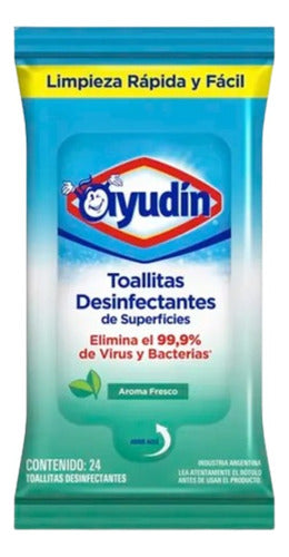 Ayudín Disinfectant Wipes 24 Units - Lo De Muriel 0