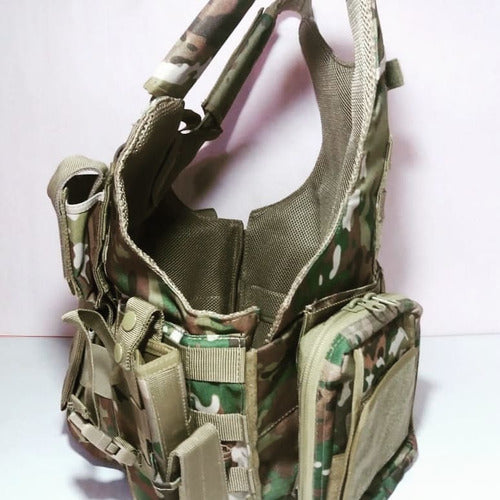 Plate Carrier 1