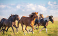 Arthur Sarnoff - Caballo Y Potrillo Campo - 45x30 Cm 7