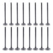 Set of 16 Intake and Exhaust Valves for DV6 1.6 HDI Engine 0