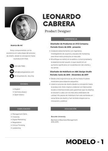 CreaStyle Professional Resume Without Experience or Improve Your CV 1