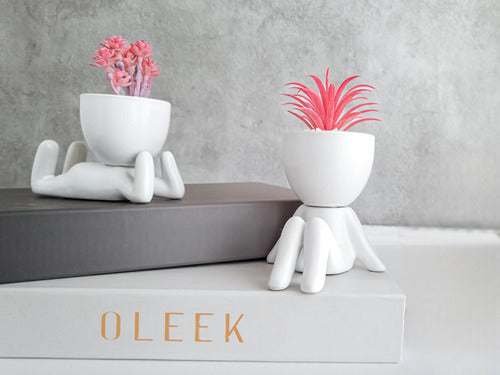 Oleek Small Fake Plants Shelf Decoration Gift 1