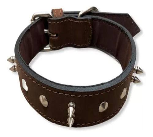 Leather Mastiff Collar with Spikes No. 2 4