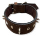 Leather Mastiff Collar with Spikes No. 2 4