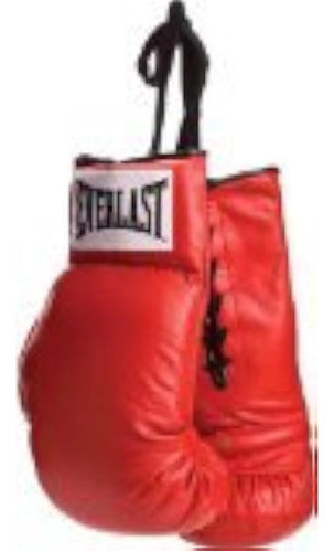 Everlast Par De Guantes De Boxeo Rojos De Vinilo, 1