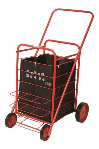 Canadian Style Shopping Cart 4-Wheel Trolley from Argentina 7