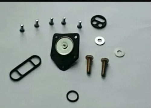 Kawasaki Ninja 300 Fuel Tap Kit 1