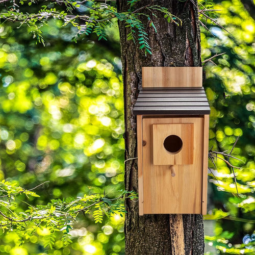 CARTMAN Cedar Blue Birdhouse, Wooden Bird Houses for Outdoors 1