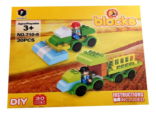 Generic Blocks 30 Pieces 1