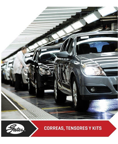 Correa Distribucion Gates Citroen Jumper 2.0i Nafta 114x25,4 2