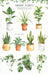 PNG Images Kit Cliparts Plants Pots Watercolor 3