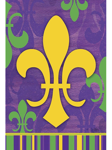 Toland Home Garden 1010919 Fleur De-lis Collage Mardi Gras F 0