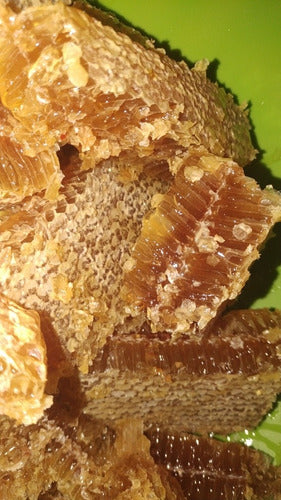 1/4kg Gourmet Premium 100% Pure and Natural Honey 1