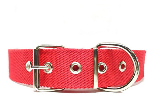 MASCOPADO ACCESORIOS Classic Solid Collar 2cm + Pass-through Tag for Small Dogs - Med 3