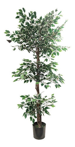 Sheshu Artificial Plant Pot 170cm Ficus Hawai Premium - Sheshu 0