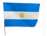 BANDERITAS ARGENTINA Banderas Plásticas Argentina X25 40x60cm Cotillón Banderín 0