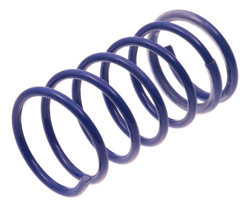 Peugeot Citroen 306 Front Spiral Spring 0