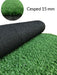 Ambiance Synthetic Grass 0.75 X 3.40 Mts Standard 15 Mm 2