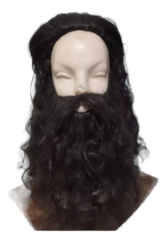 Wigs and Beards Set by La Parti Wigs! 0