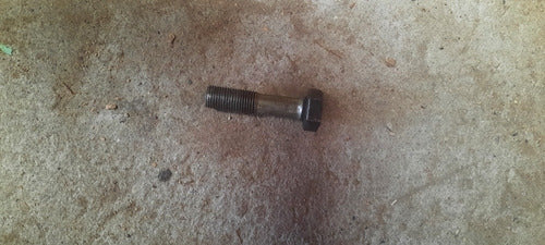 Tornillo Polea Ciguenal Renault 18 Diesel 0