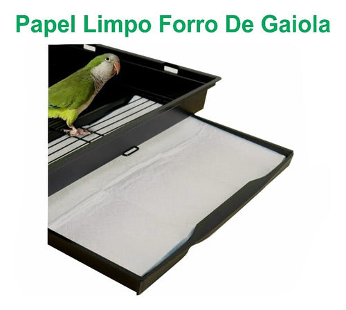 Tapete Jornal P/ Cães Aves 300uni Papel Limpo Pet 38 X 55cm 1