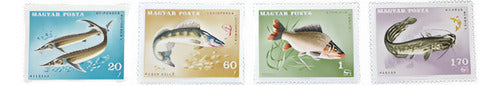 Hungary Stamp Collection Theme Fish 7 Mint Stamps Year 1967 1