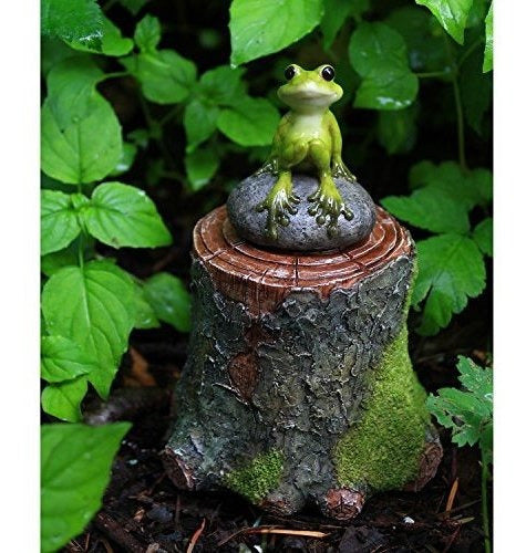 Top Collection Miniature Fairy Garden Y Terrarium Decorative 2