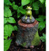 Top Collection Miniature Fairy Garden Y Terrarium Decorative 2