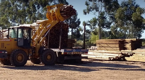 CCA Treated Eucalyptus Posts 13 Meters for Wholesale 3