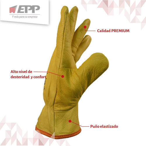 De Pascale Premium Vaqueta Leather Glove Size 11 1