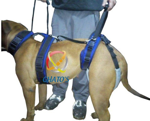 GHATO'S Vs NIKITA Soft Support Harness For Disabled Dogs Size 1 0