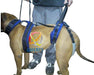 Soft Holding Harness for Disabled Dogs Size 3 0