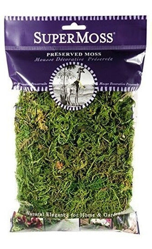 Supermoss Musgo De Bosque Conservado Verde Fresco 0