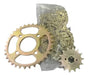 Standard Modial HD 254 Chain and Sprocket Set 0