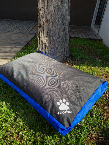 Mascotitas Small Dog Bed / Tear-Resistant / Waterproof + Cushions 2