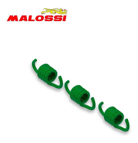 Kit X3 Clutch Springs Malossi for Agility 50cc. Green. Mca 1