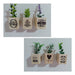 HandMade Mini Plant Pots with Magnet and Artificial Plant Set 0