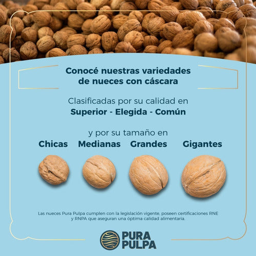 Pura Pulpa Walnuts In Shell 10 Kg (34-36) 1