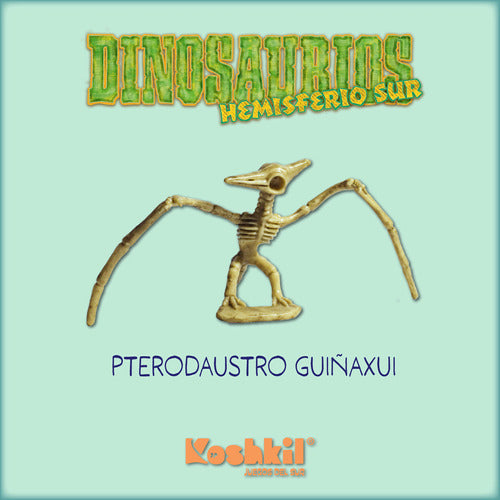 Dinosaurios Hemisferio Sur - Pterodaustro Guiñaxuil 2