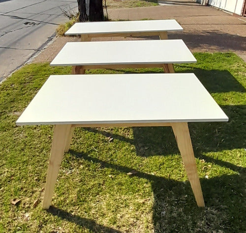 Scandinavian Table 160x80 Super Reinforced 4
