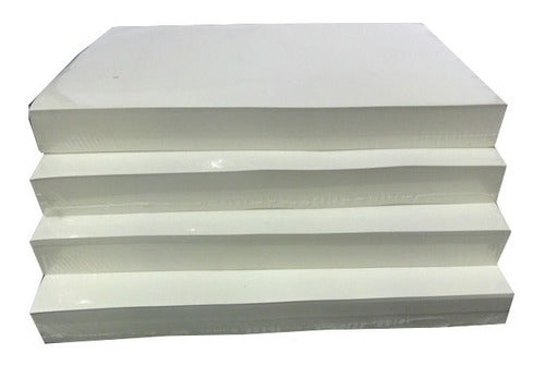 CELULOSA ARGENTINA Bookcel Smooth Paper Offer 80 Grs Strips 10.5x65 Cm X 500 Sheets 1