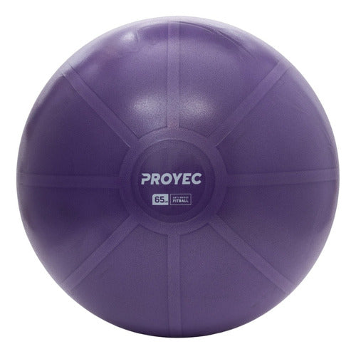 Proyec Swiss Gym Ball 65 cm + Fitness Gym Inflator 1