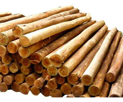 Eucalyptus Posts, Logs, Sticks 10/12 Cm 2.50 Mts 0