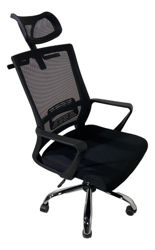 Tisera Ergonomic Office Chair with Headrest for PC - Free Model 0