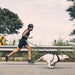 Running Belt with Elastic Leash for Dog Walking - Zee Run Belt 5