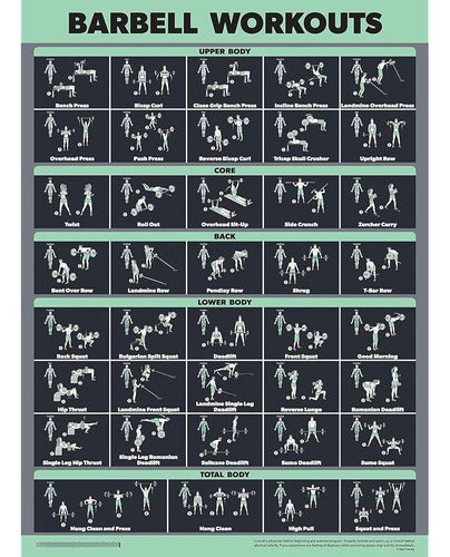 Palace Learning Package of 20 - Exercise Poster Set: Dumbbell, Suspension, Battle Rope, Stretching, Bodyweight, Bar 3