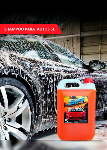 Pack De Lavado De Auto Sia X 4 Productos 1