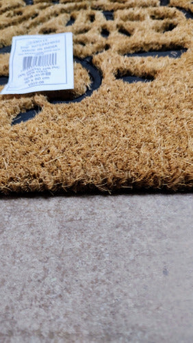 Modern Design Coconut Doormat 1