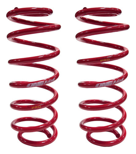 Volkswagen Kit X2 Progresive Rear Springs for Fox 04/11 1